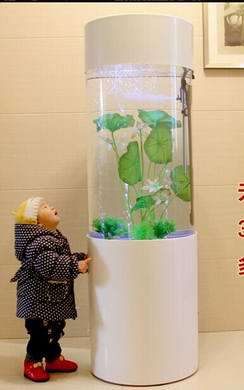 海鲜缸_海鲜自助_海鲜缸制作
