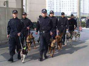 急招犬防员8h双休包吃住交五险_常州家政保洁