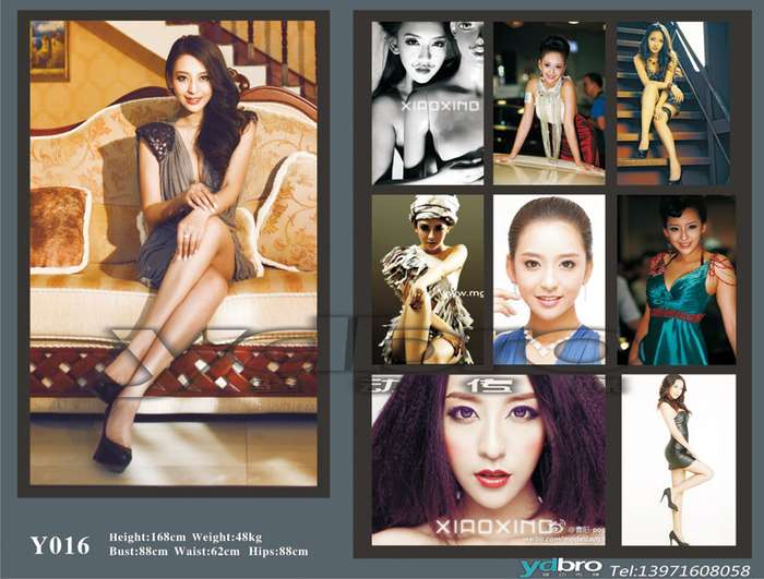 平面模特的收入(3)