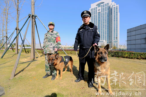 急招8小时双休犬防员工作轻松待遇优工资350