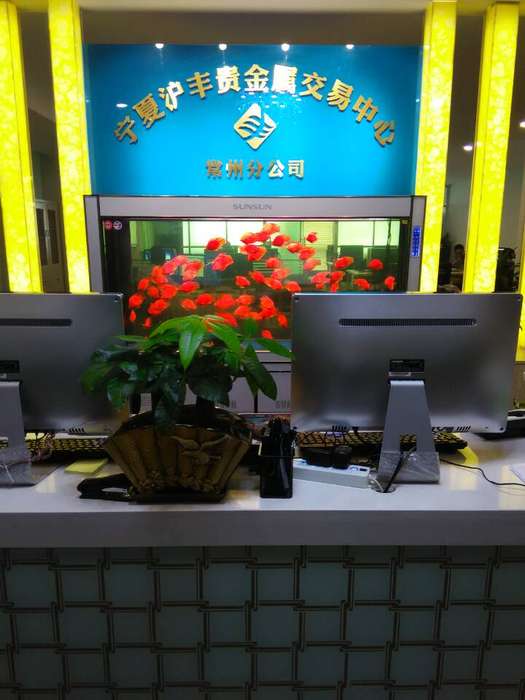 招聘前台文员_常州人事\/行政\/后勤_化龙巷分类