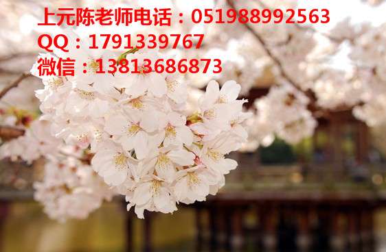 常州学日语需要多少钱 常州学日语的人多吗 常