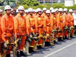 急招犬防员 双休 包食宿 交社保_常州家政保洁