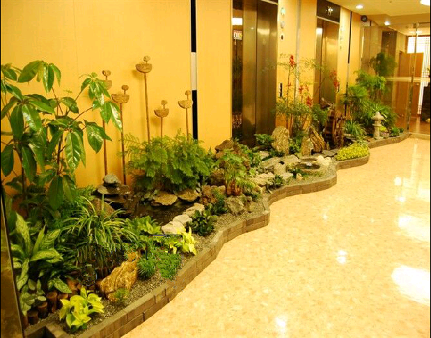 室内植物造景,室内绿化,室内植物布景(第2页)_大山谷图库