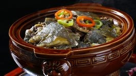 �������ͽ���̬����