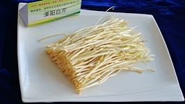 ��������������