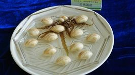 ���ƣ���������