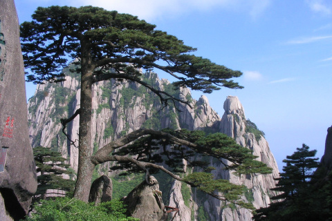 【名山特辑】黄山,塔川,九龙瀑,唐模三日游(b线)