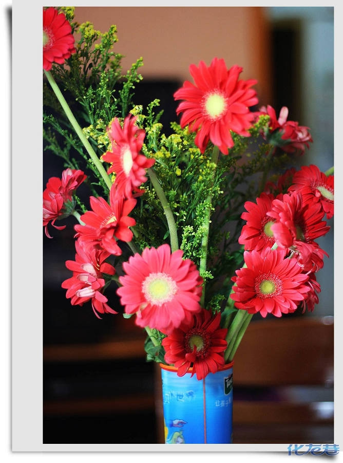 珍惜你身边的人~小小兔结婚纪念日戈尔顿饭店