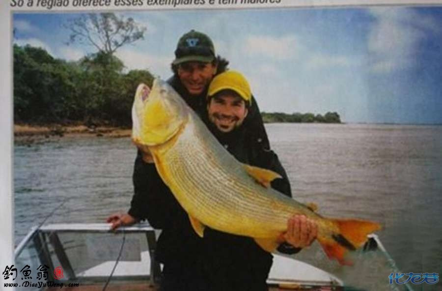 [转帖] 钓鱼疯子的巴西 巴拉圭河 朝圣(亚马逊续