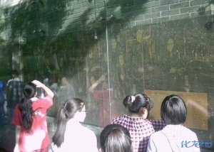 市北初中初中学区感受椿桂园,走进椿桂园的常划分课程校本盘锦图片