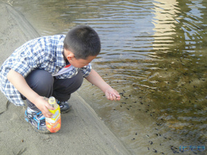 关于亲爱的你,毕业后,会不会想起我?的硕士学位毕业论文范文