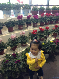 优宝去哪儿啦?老早应该发发帖了,还是太懒,错