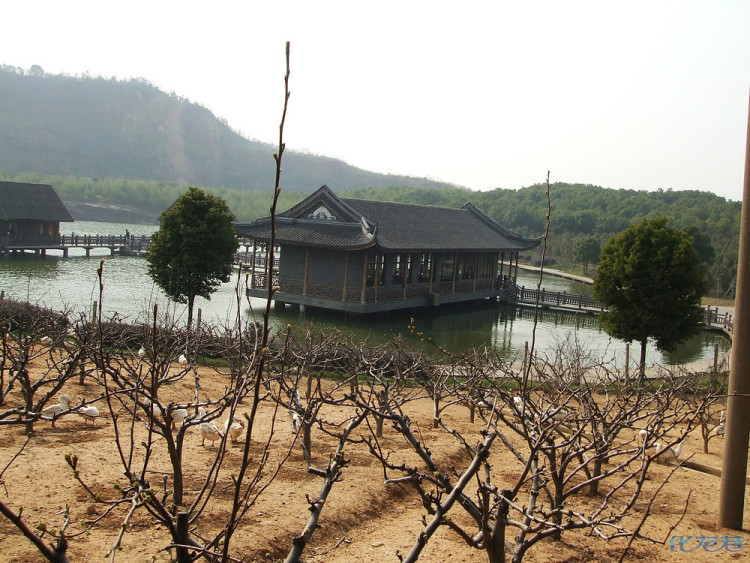 踏春景色宜人狮子山生态园,以前就听说江阴狮子山生态