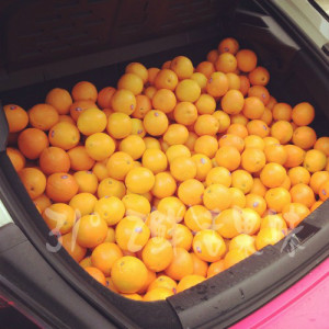 【31°鲜味水果(常州团)】正宗海南千禧小番茄