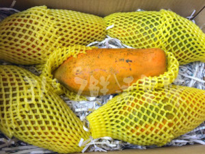 【31°鲜味水果(常州团)】正宗海南千禧小番茄