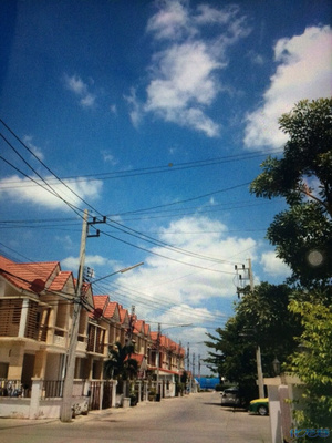 说说你对榴莲的感情呢~~_手机化龙巷