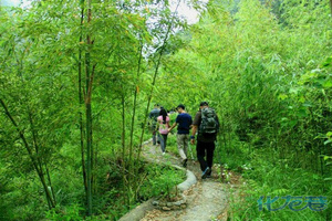 星期三户外联盟     安徽绩溪龙须山穿越_手机化