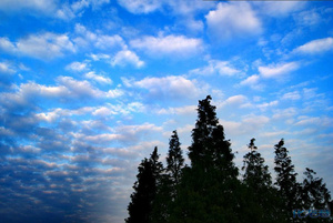 天空的云如棉絮般层层叠叠,拍下过后变换色彩