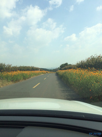 溧阳,曹山曼城度假村。-化龙巷触屏版