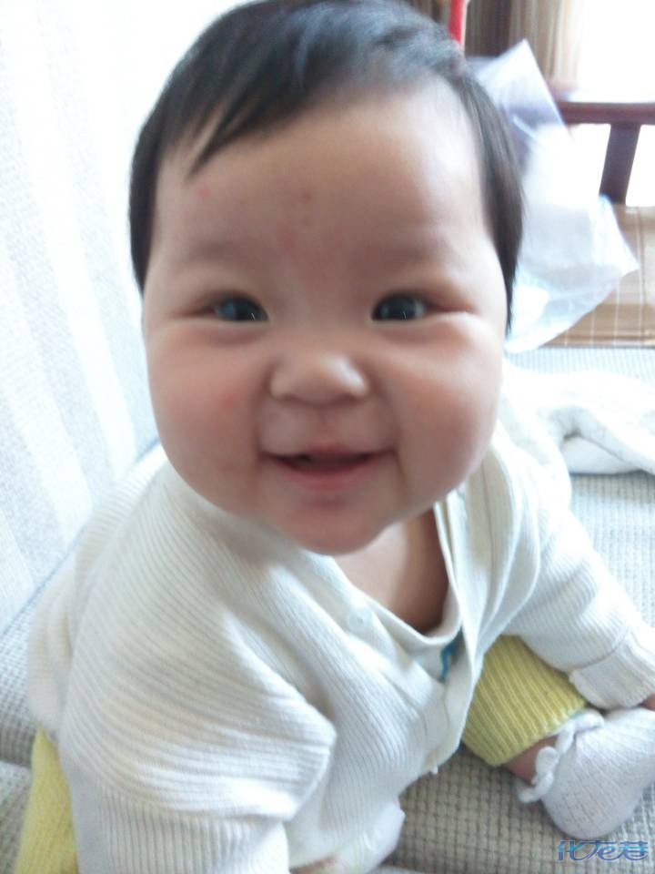 我家宝宝6个月不到就会坐了。