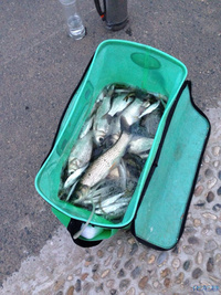 溧阳上兴水库-化龙巷触屏版