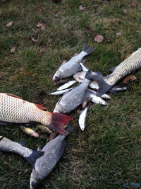 溧阳上兴水库-化龙巷触屏版