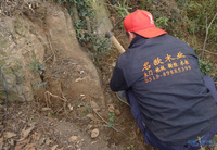 开车上山找回儿时的野趣。采挖六角毛黎树桩做