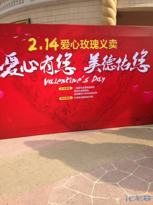 【重发】春暖花开 参加玫瑰义卖活动有感 通