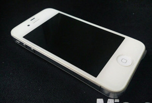 求一张武进金鹰奇迹健身年卡。价钱摸着良心来