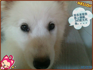 有你,我的生活突然觉得很幸福。可是一次的疏