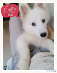 有你,我的生活突然觉得很幸福。可是一次的疏