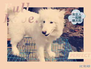 有你,我的生活突然觉得很幸福。可是一次的疏