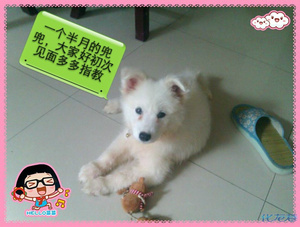 有你,我的生活突然觉得很幸福。可是一次的疏