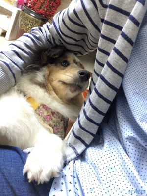 有你,我的生活突然觉得很幸福。可是一次的疏