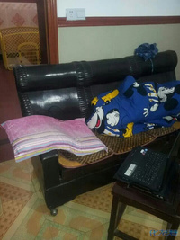 我家金毛拉菲生宝宝啦~\(≧▽≦)\/~