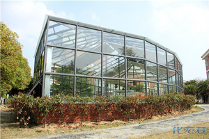 有机草莓,有机蔬菜…哪里找?北郊智能温室品种