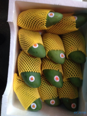 荔枝11元一斤 台湾大青芒9.9一斤