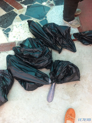 常州哪里有钓龙虾的地方,钓完按斤称的!不要野