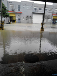 经常遇到家暴,我该怎么办