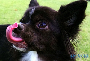 17个有趣发现,让你的身体感觉倍儿爽,喉咙发痒