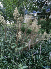 溧阳市政府:如今文化新村的惨状,有图为证,难道