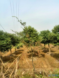 溧阳农家寻项目合作-化龙巷触屏版