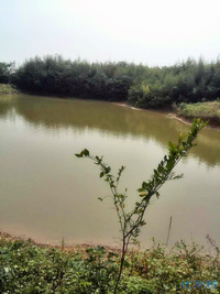 溧阳农家寻项目合作-化龙巷触屏版