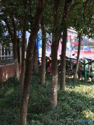 万达附近烤鱼店开业大放烟花爆竹,谁管?烟雾迷