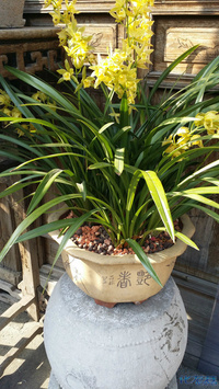 【暖冬记忆NO.16】杭州之行:半城诗画,一川烟