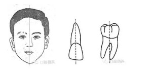 登录/注册后可看大图