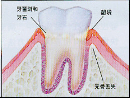 登录/注册后可看大图