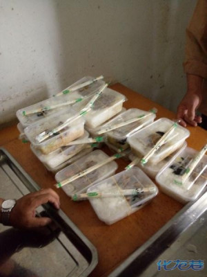 手拉手志愿团队助力龙山印象金坛佛教文化旅