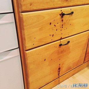 网友老妈用榨汁机打蓝莓汁喝,没想到接下来超